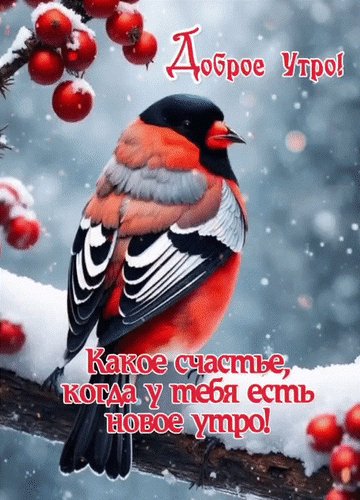 Анимированная открытка доброе утрo какое