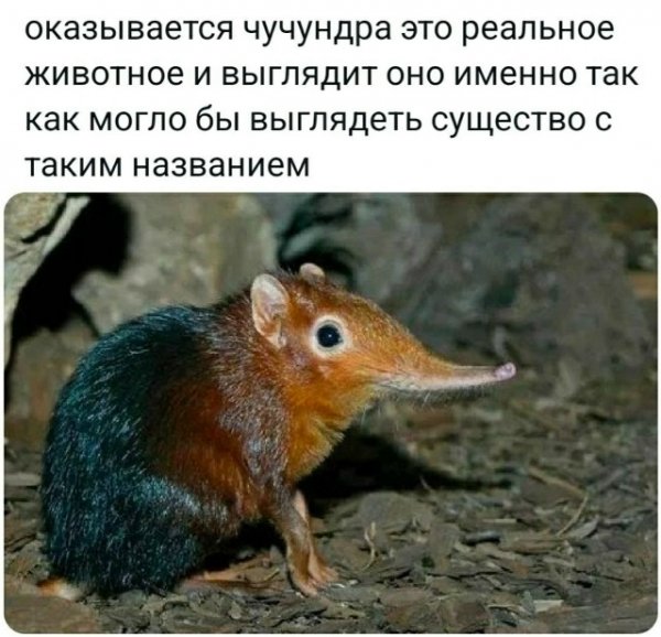 file_103334362