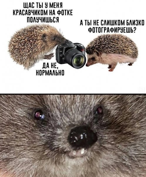IMG 20260626 015816 599