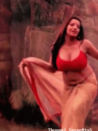 Monalisa Saree
