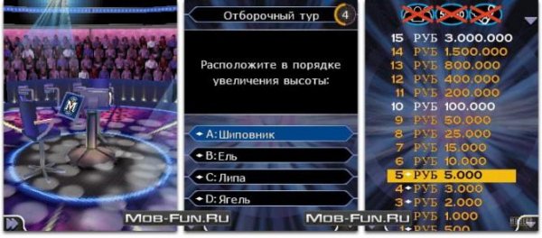 Millionaire 4 Ru Se 176x220 W810