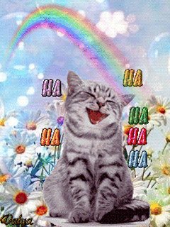 Котенок
