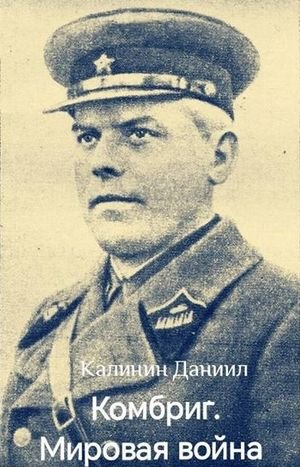 Даниил Калинин Комбриг. Мировая война