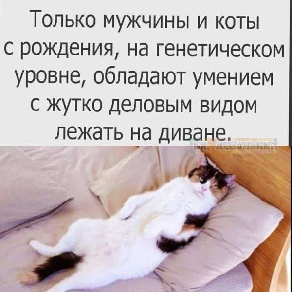 IMG 20250707 194258 949