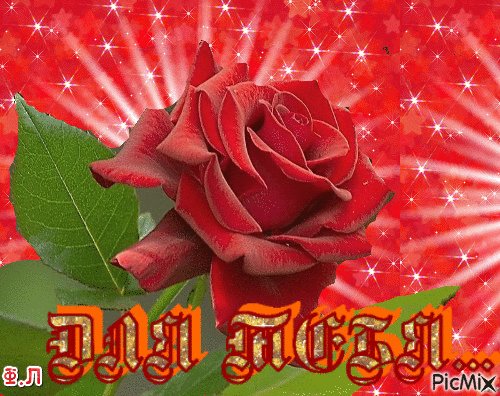 file_74095133