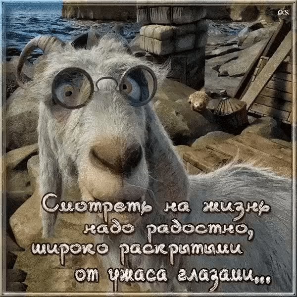 IMG 20230822 180954