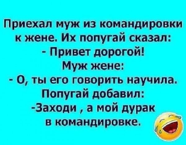 x500