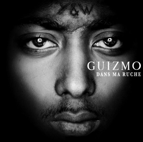 Guizmo - dans ma ruche