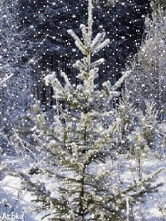 file_59584046