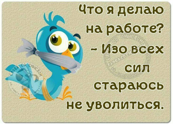 IMG 20250228 101940 527