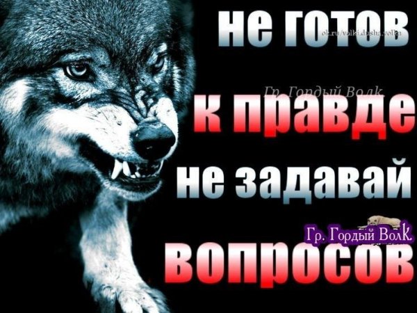 E7d38dcb0592a9310358a233ab4d95a7