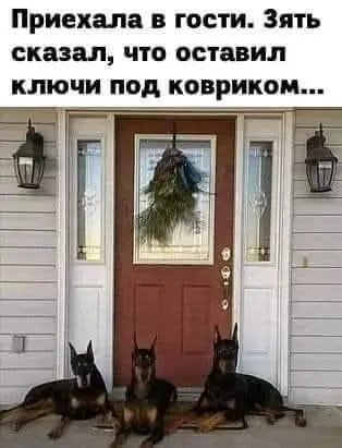 file_100689270