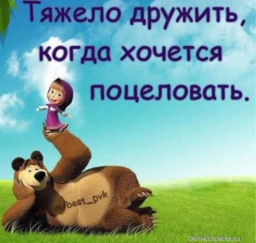 file_38235503