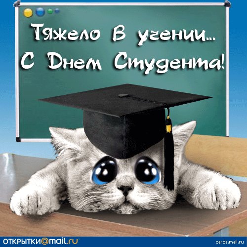 bdde11d3702855d92d29b772847c