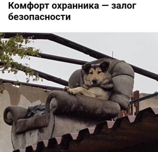 file_83209441