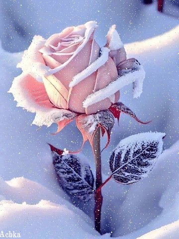 file_92935939