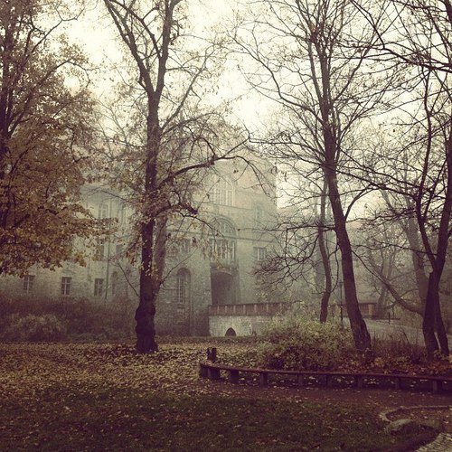 Melancholic Autumn (8)