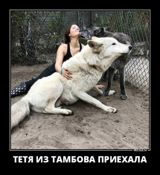 file_77313215