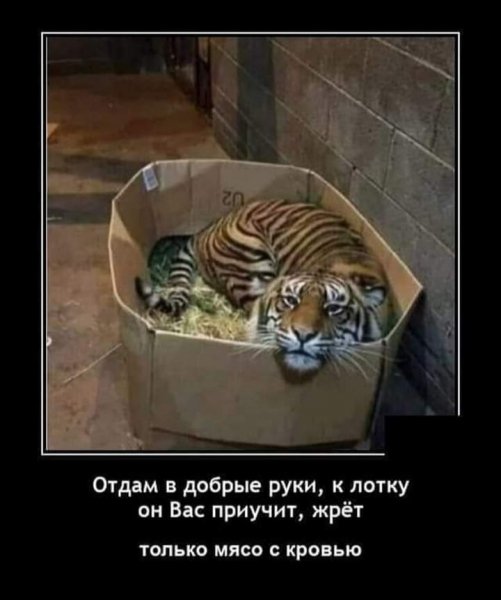 IMG 20230919 140123-