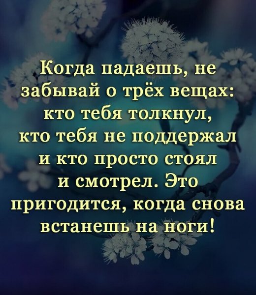IMG 20231110 222713