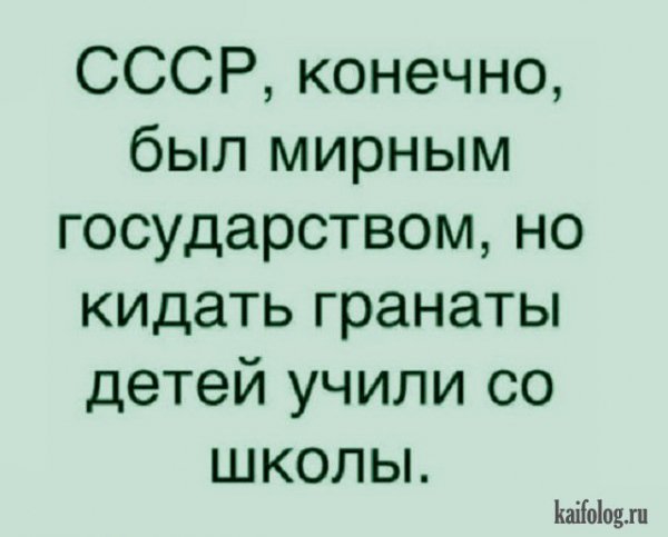file_88240808