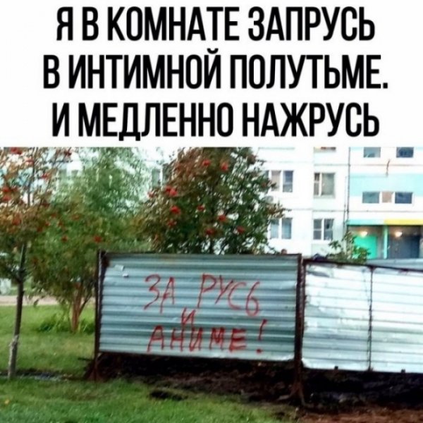 file_103416915