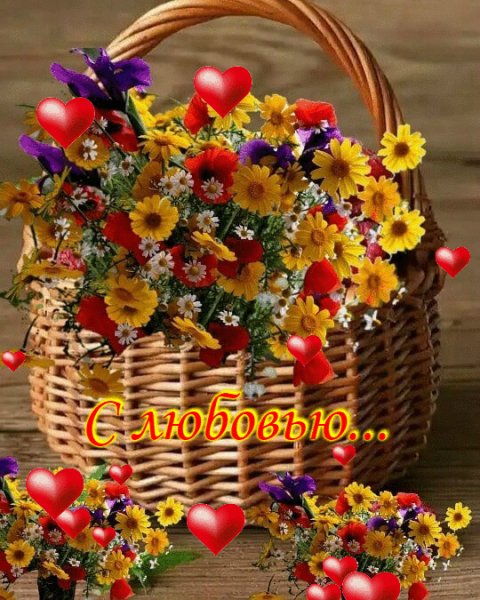 file_73958674