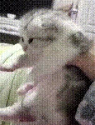 Эээй! Ну Куда? Это Моё! Отдайти!
