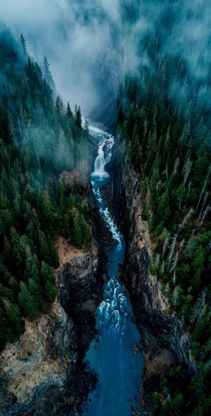 file_102966195