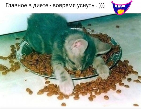 Screenshot 20231007-203526 Chrome