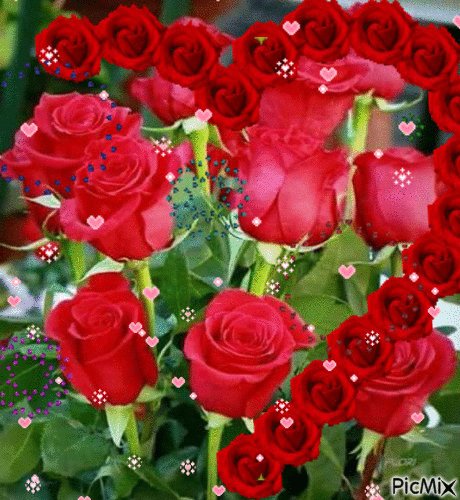 rosas