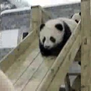 1qNU1meYaPVxsy8O8vtQ8KT. 000