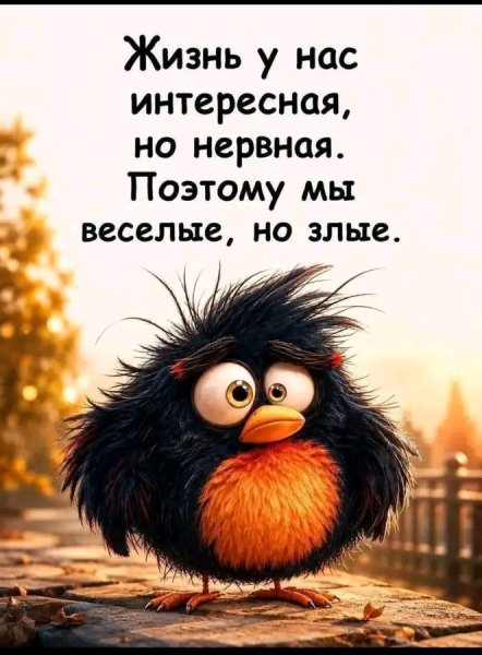 file_103379290