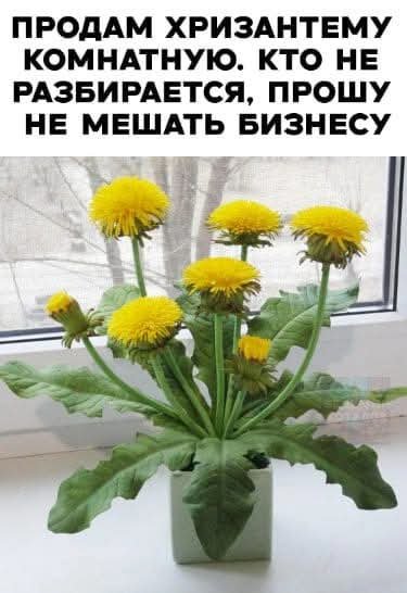 FB IMG 1740497701414