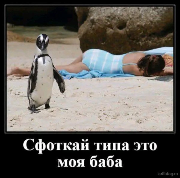 file_103231839