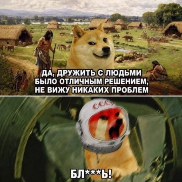 file_103330155
