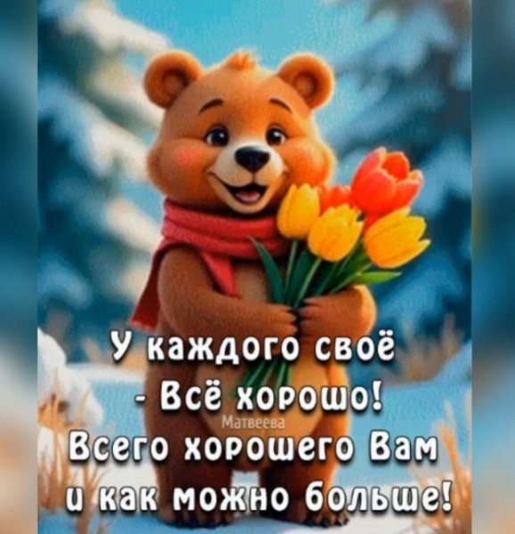 IMG 20260208 230056