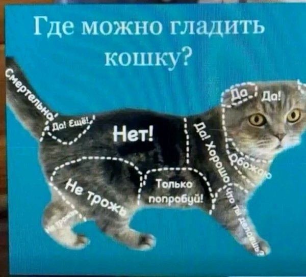 file_103374912