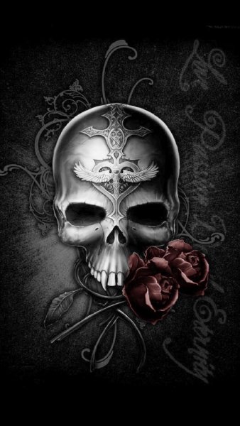 DSC100 Skull