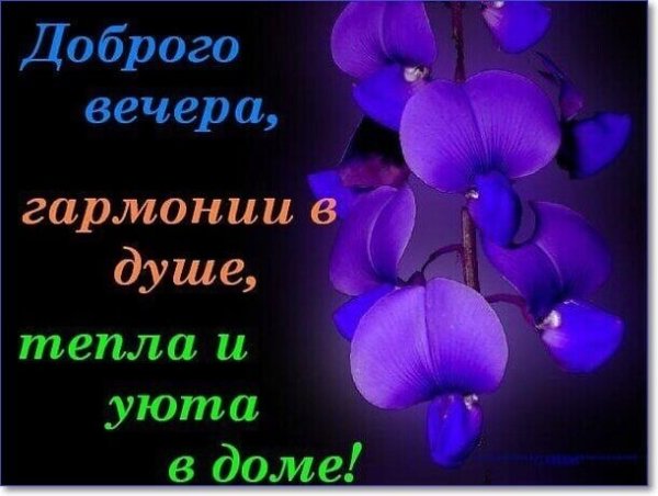 IMG 20181225 730743