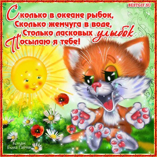 file_51600696