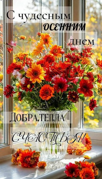 IMG 20260915 150931 176