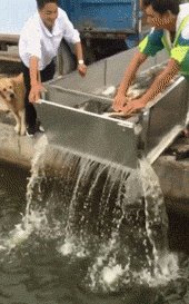 Нееет!