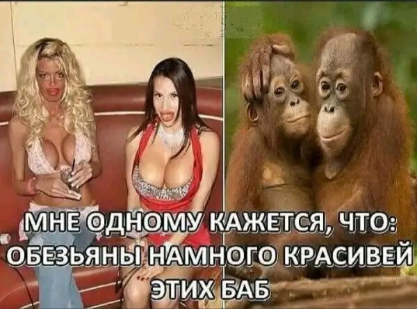 file_102890505