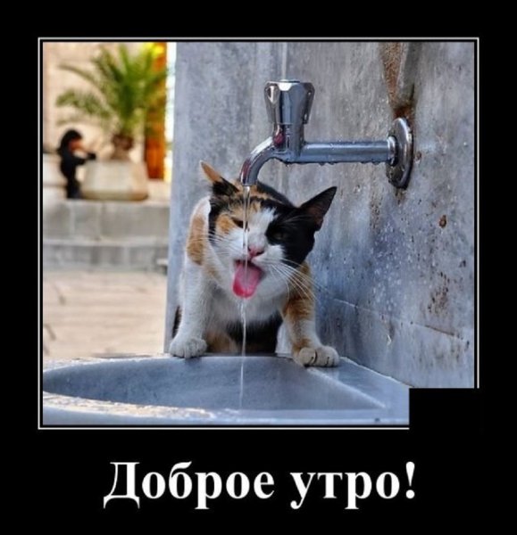ДОБРОЕ УТРО!