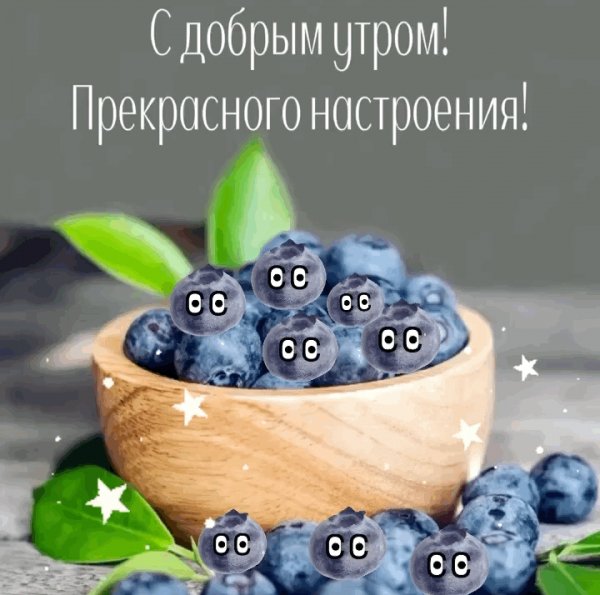 file_92866618