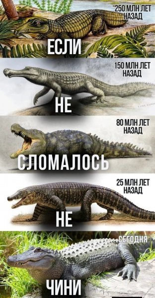 MG 1771389941722