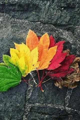 file_75251904