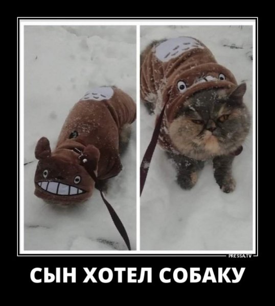 file_77242667