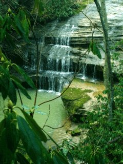 file_51529592